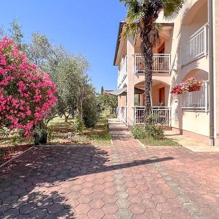 Viola Three Lägenhet Novigrad Istria Exteriör bild
