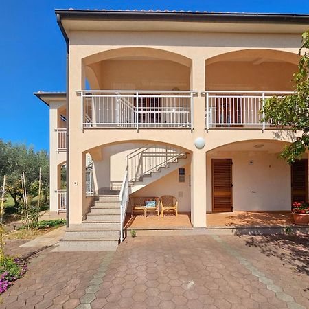 Viola Three Lägenhet Novigrad Istria Exteriör bild