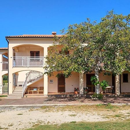 Viola Three Lägenhet Novigrad Istria Exteriör bild