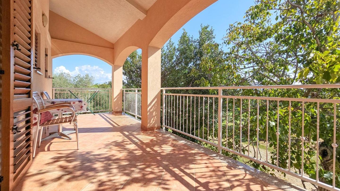 Viola Three Lägenhet Novigrad Istria Exteriör bild
