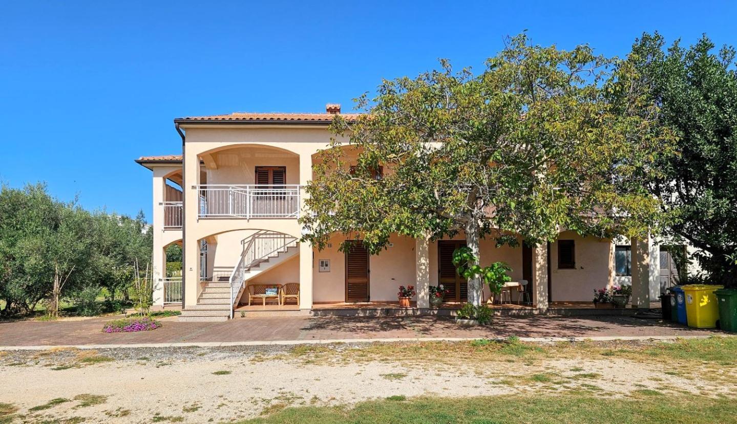 Viola Three Lägenhet Novigrad Istria Exteriör bild